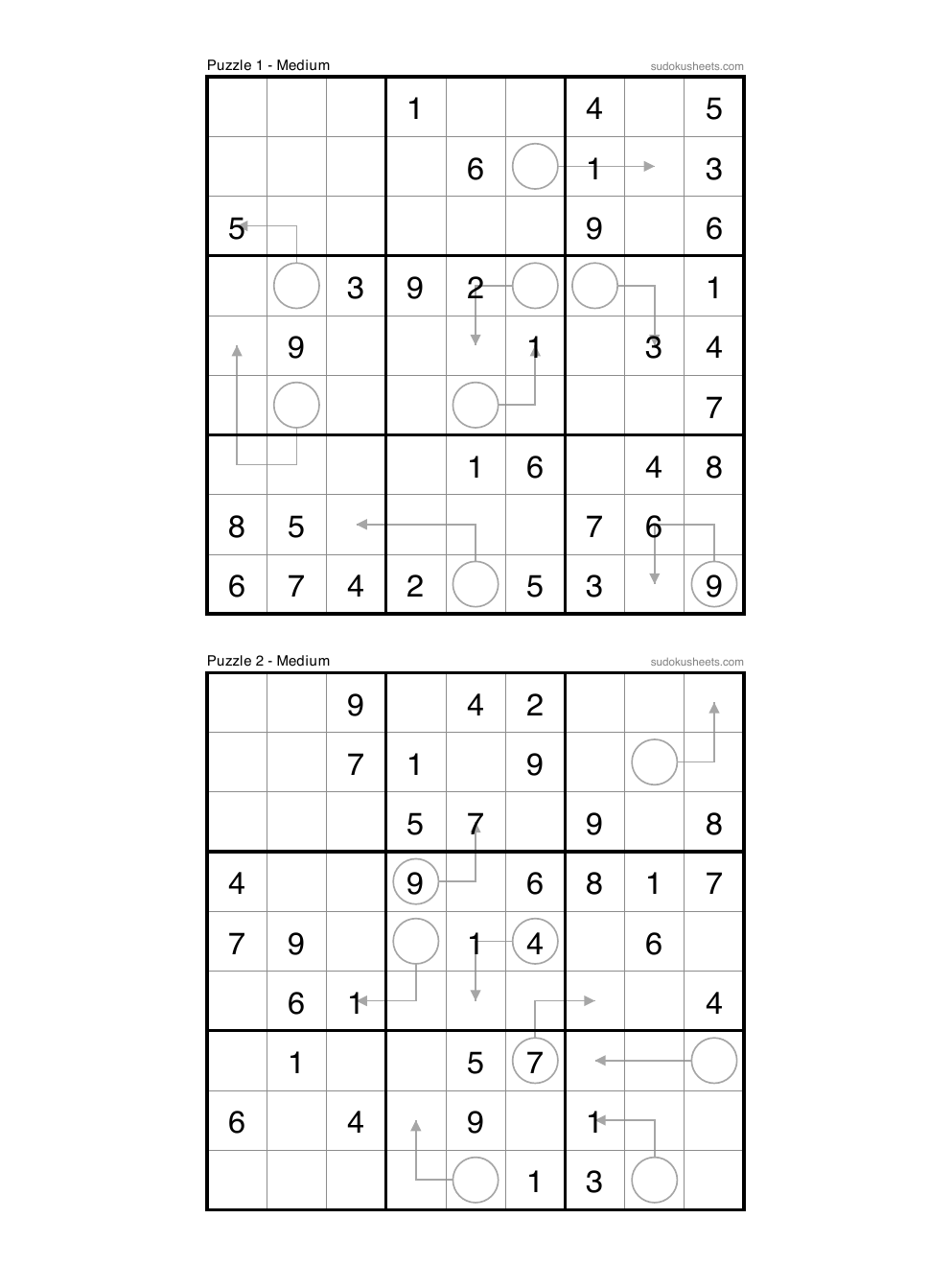 Arrow sudoku puzzle preview